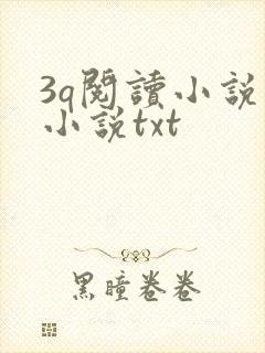 3q阅读小说网小说txt