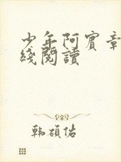 少年阿宾章节在线阅读