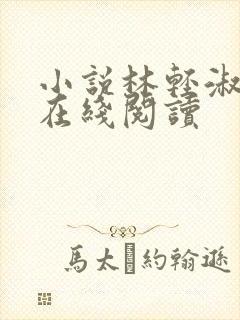 小说林轻淑陈凡在线阅读封面
