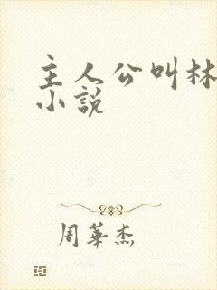 主人公叫林凡的小说