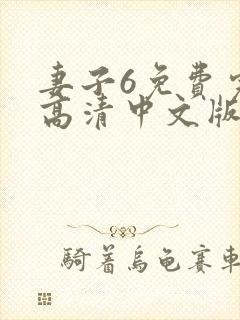 妻子6免费完整高清中文版电视剧封面
