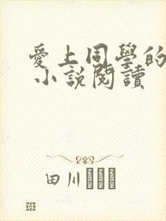 爱上同学的妈妈 小说阅读