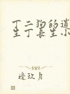 丁二狗的逍遥人生丁长生小说封面