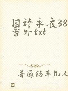 囚于永夜38个番外txt封面