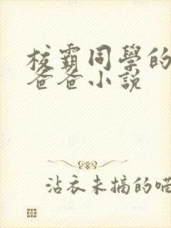 校霸同学的痞坏爸爸小说