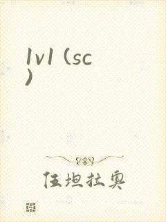 1v1 (sc)封面