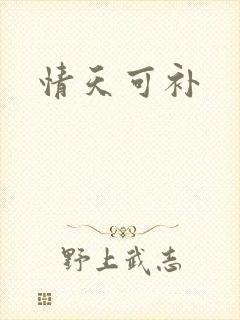 情天可补