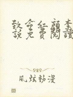 致命红颜李泽小说免费阅读全文