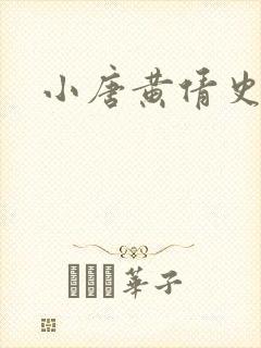 小唐黄倩史