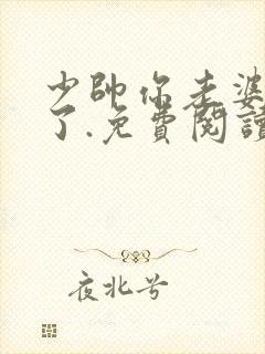 少帅你老婆又跑了.免费阅读封面