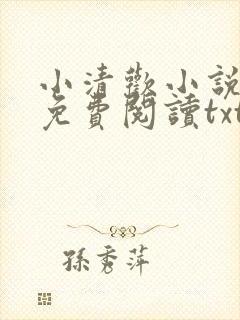 小清欢小说全文免费阅读txt下载