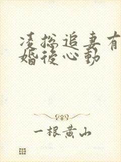 凌总追妻有点甜婚后心动
