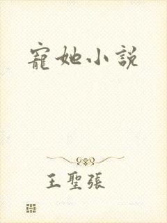 宠她小说