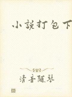 小说打包下载封面