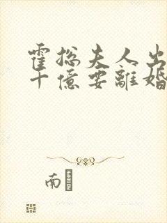 霍总夫人出价一千亿要离婚结局