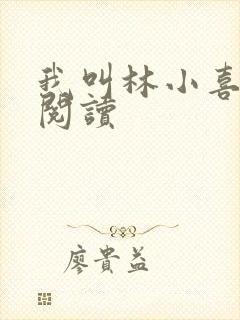 我叫林小喜在线阅读