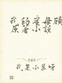 我的蜜母顾婉如原著小说