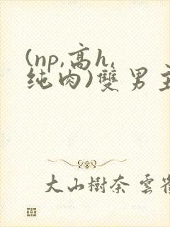 (np,高h,纯肉)双男主