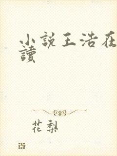 小说王浩在线阅读封面