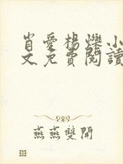 肖爱杨烁小说全文免费阅读最新章节封面