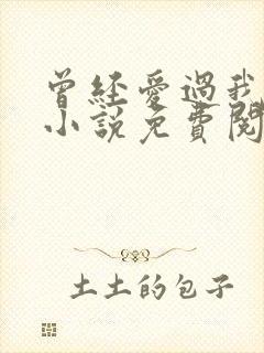 曾经爱过我刘念小说免费阅读