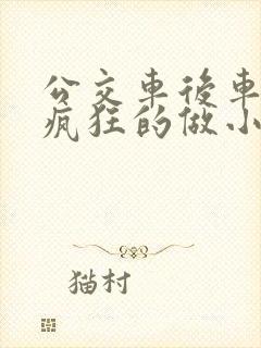 公交车后车座的疯狂的做小