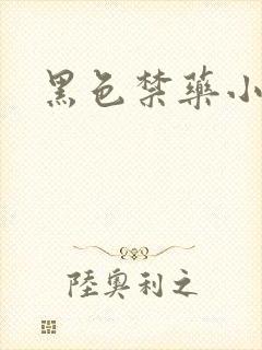 黑色禁药小说