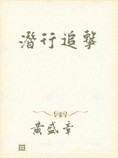 潜行追击