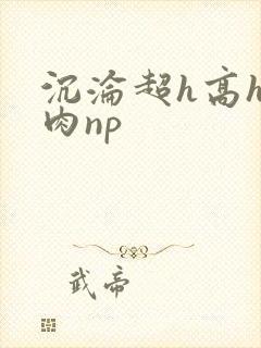 沉沦超h高h污肉np