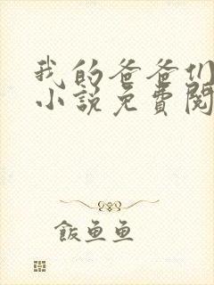 我的爸爸们小雅小说免费阅读封面