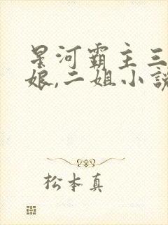 星河霸主三宝,娘,二姐小说封面