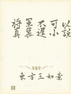 将军不可以魏云真慕迟小说笔趣阁封面
