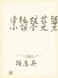 清纯校花堕落记小说全文免费阅读