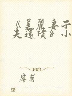 《美丽妻子替丈夫还债》小说