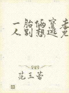 一胎俩宝老婆大人别想逃免费阅读