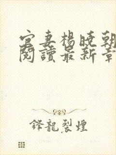 官妻杨晓朝免费阅读最新章节封面