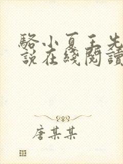 骆小夏王先生小说在线阅读