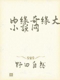 内缘奇缘大团圆小说网封面