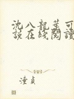 沈八龙叶可怡小说在线阅读封面