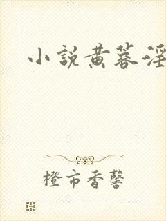 小说黄蓉淫传