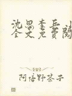沈思李兵 小说全文免费阅读封面