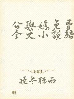 公与媳免费阅读全文小说结局是什么封面