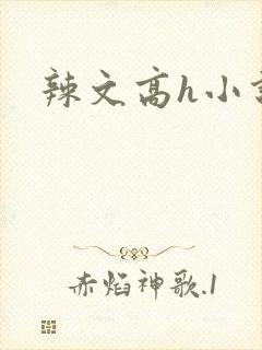 辣文高h小说封面