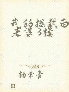 我的总裁白富美老婆 3楼封面
