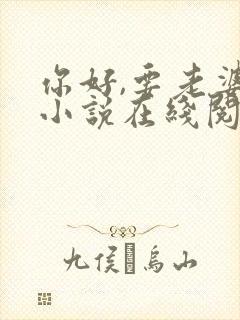 你好,要老婆吗小说在线阅读封面