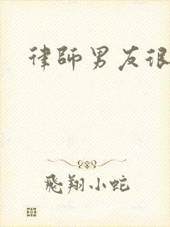 律师男友很难撩