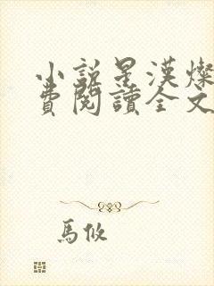 小说星汉灿烂免费阅读全文