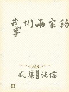 我们两家的荒唐事