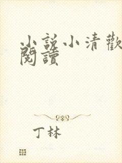 小说小清欢在线阅读