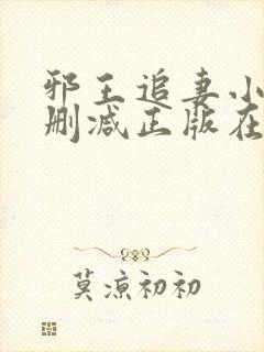 邪王追妻小说无删减正版在线阅读封面